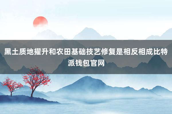 黑土质地擢升和农田基础技艺修复是相反相成比特派钱包官网