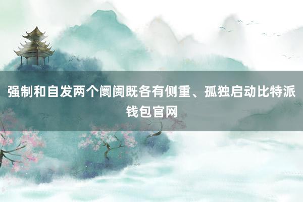 强制和自发两个阛阓既各有侧重、孤独启动比特派钱包官网