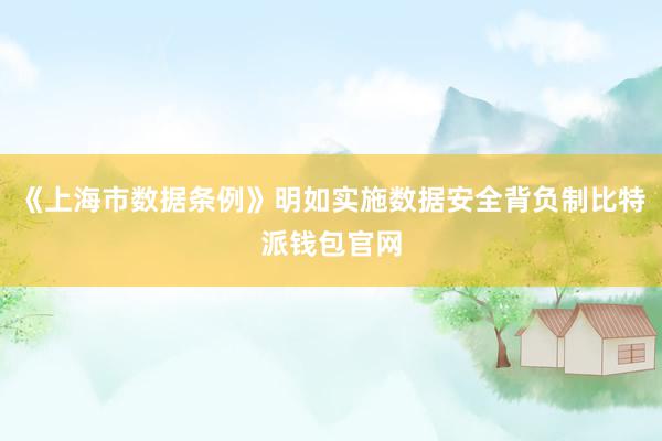 《上海市数据条例》明如实施数据安全背负制比特派钱包官网