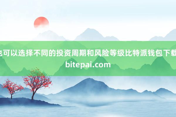 也可以选择不同的投资周期和风险等级比特派钱包下载，bitepai.com