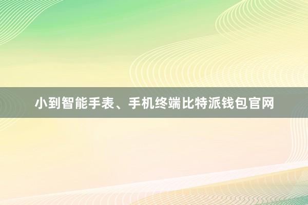 小到智能手表、手机终端比特派钱包官网