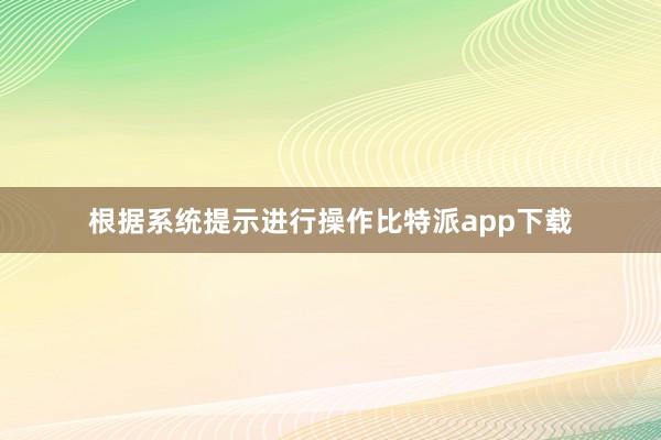 根据系统提示进行操作比特派app下载