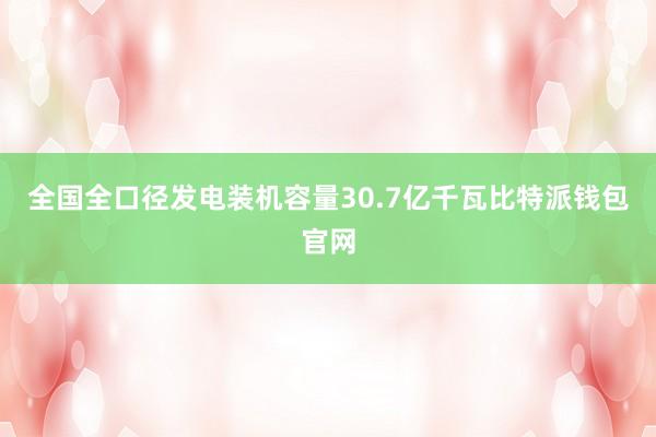 全国全口径发电装机容量30.7亿千瓦比特派钱包官网