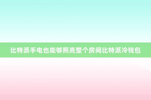 比特派手电也能够照亮整个房间比特派冷钱包