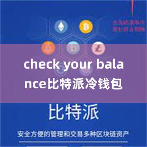 check your balance比特派冷钱包