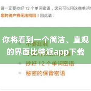 你将看到一个简洁、直观的界面比特派app下载