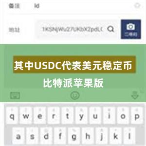 其中USDC代表美元稳定币比特派苹果版