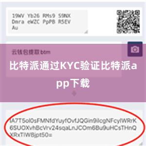 比特派通过KYC验证比特派app下载